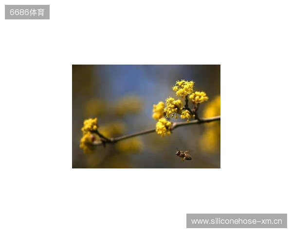 布达佩斯Major第一阶段：战舰轰鸣！FaZe 2-1 RED Canids